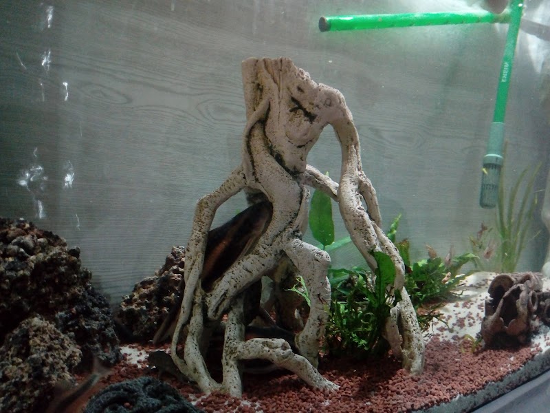 Centro de día para enfermos de Parkinson — foto 8