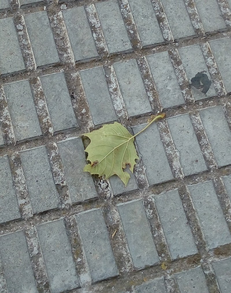 Centro de día para enfermos de Parkinson — foto 9