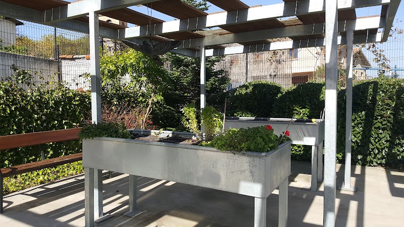 Servicio de estancia diurna Colisee Miñano — foto 4