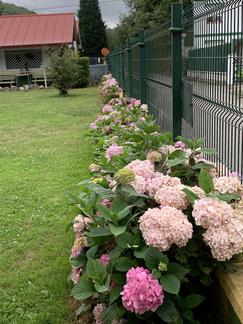 Servicio de estancia diurna del Centro geriátrico Nuestra Señora del Amparo — foto 5