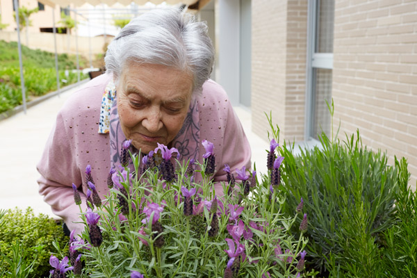 Centre de dia Germans Aymar i Puig — foto 10