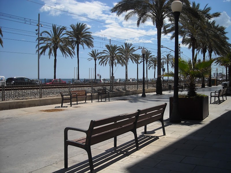 Servicio de estancia diurna de la Residencia Danae — foto 3