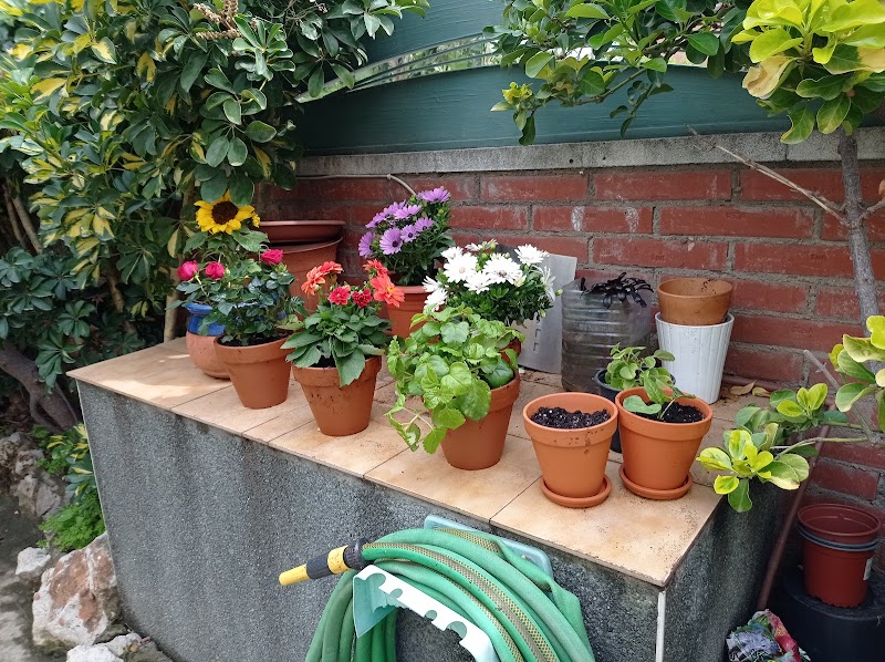 Centre de dia Torre Marina