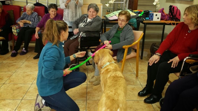 Servicio de estancia diurna de la Residència Reche — foto 8