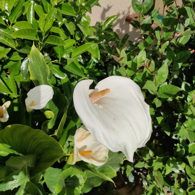 Servei de suport d'acolliment diürn de L'Asil Hospital de La Garriga — foto 5