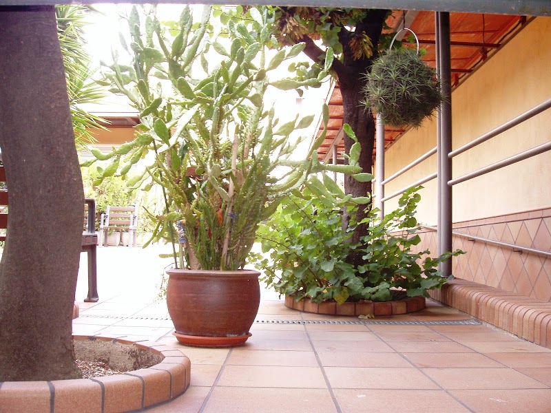 Centre de dia Residencia Vivendi — foto 2