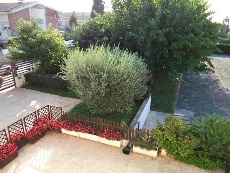 Centre de dia Xanel Centre Geriàtric — foto 6