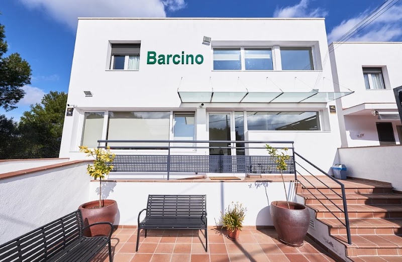 Servei de suport d'acolliment diürn de la Residencia Barcino