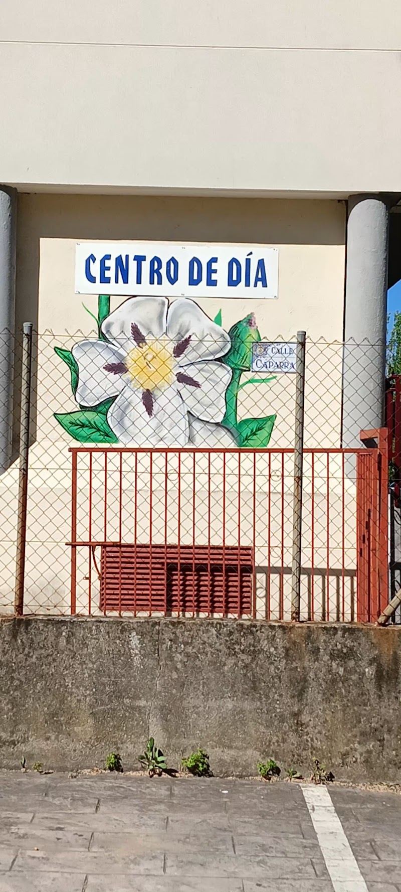Servicio de estancia diurna de la Residencia Virgen del Puerto — foto 6