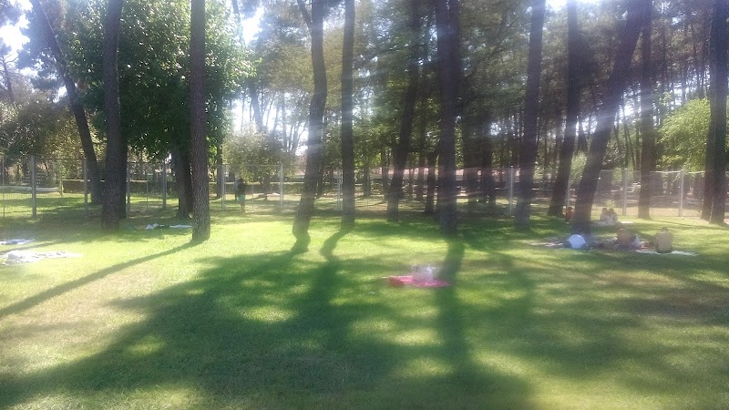 Centro de día de la Residencia El Romeral — foto 3