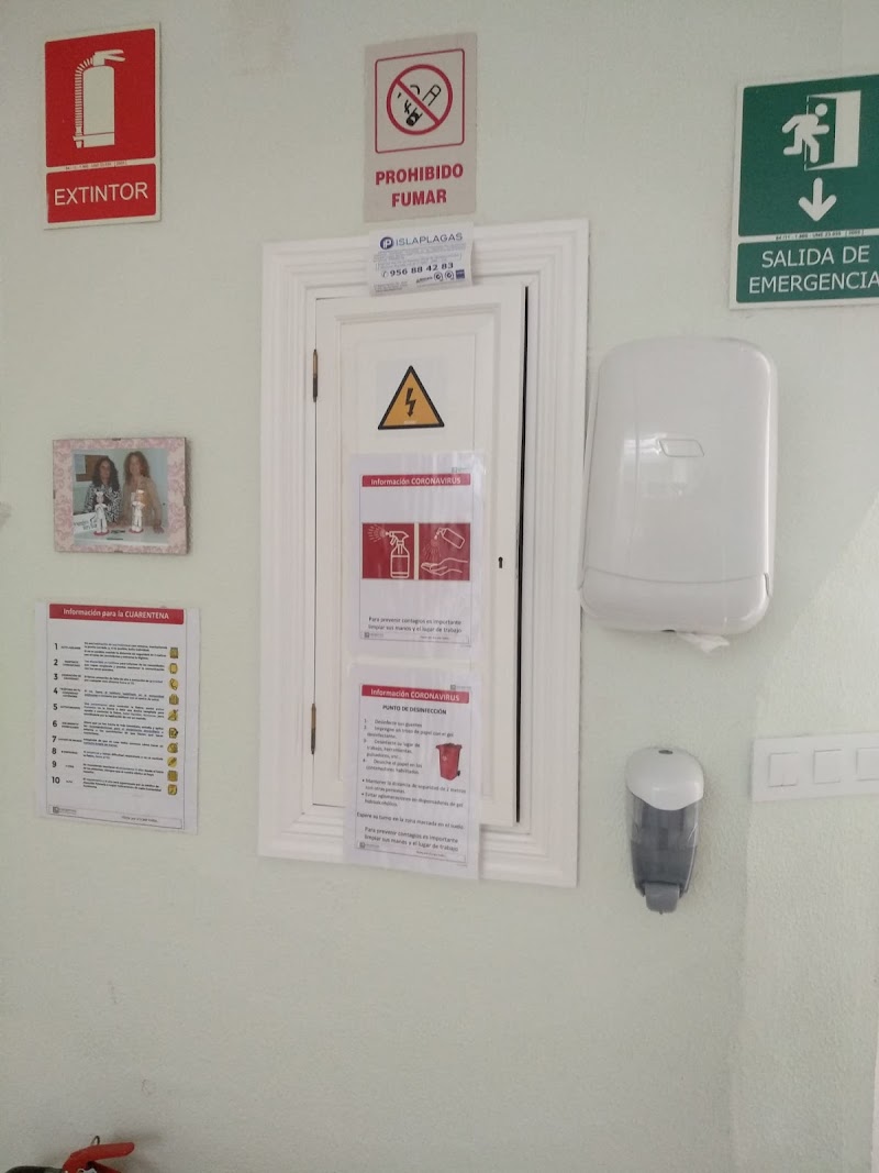 Centro de día para mayores Ángeles Teysa — foto 4