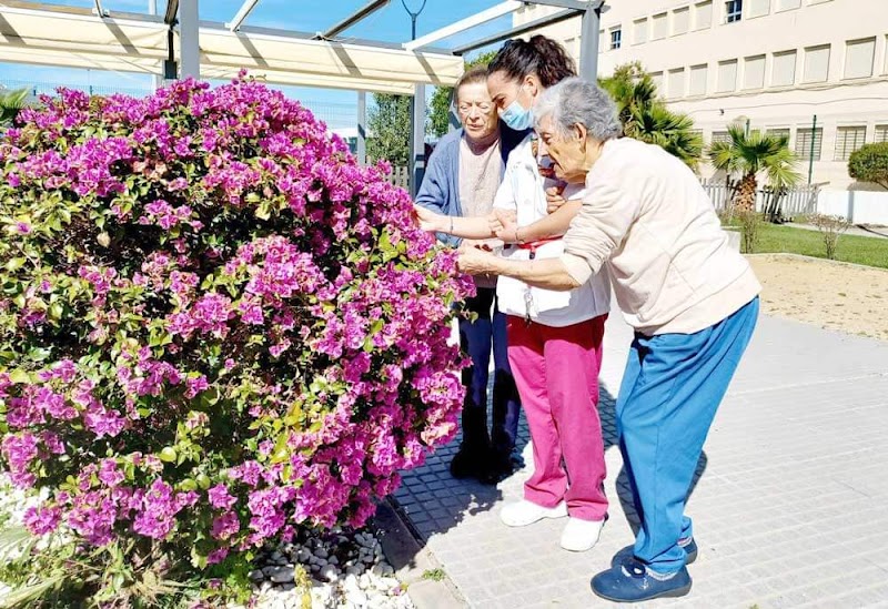 Servicio de estancia diurna de la Residencia de mayores Cruz Roja Española — foto 9