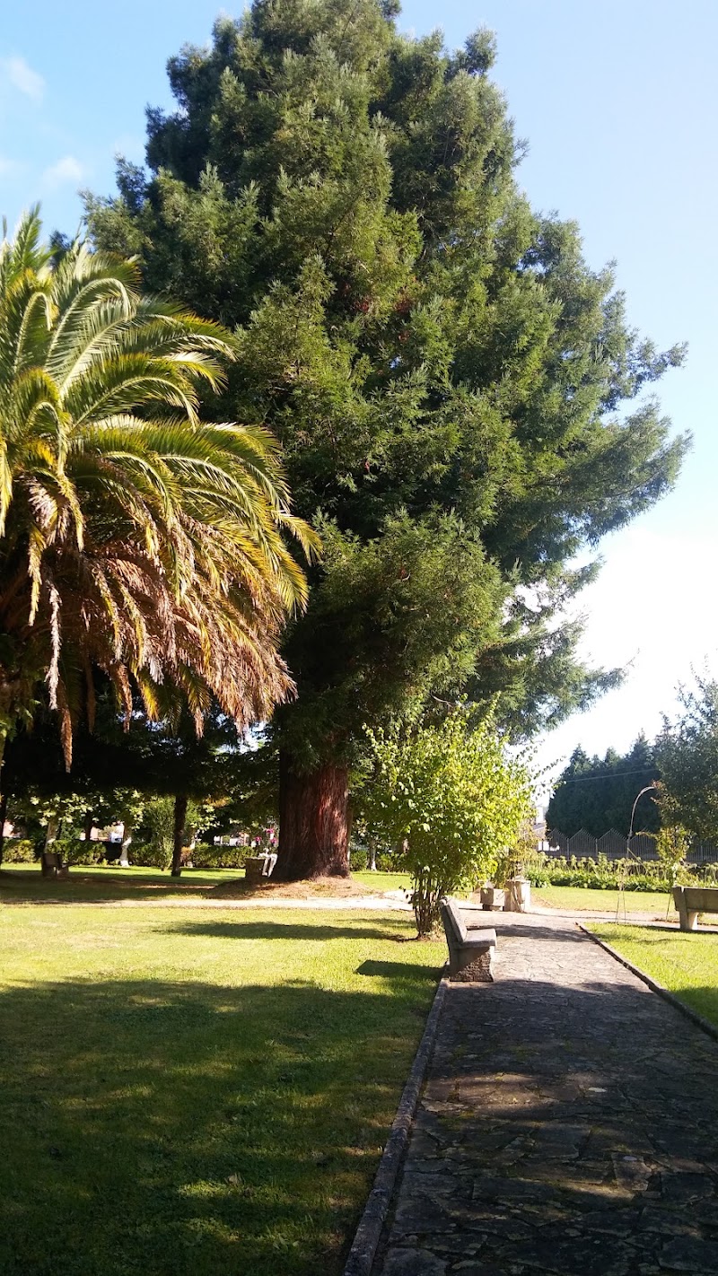 Centro de día Psicogeriátrico Sagrada Familia — foto 5
