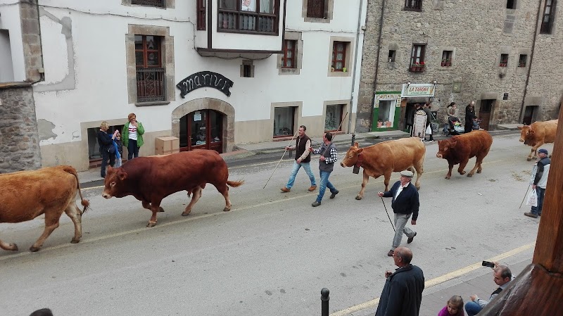 Centro de día Félix de las Cuevas — foto 4