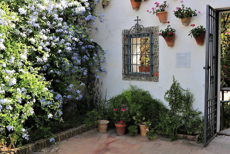 Centro de día para mayores Ciudad Jardín — foto 2