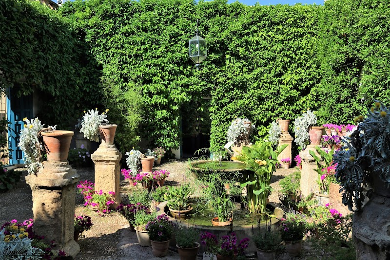 Centro de día para mayores Ciudad Jardín — foto 4