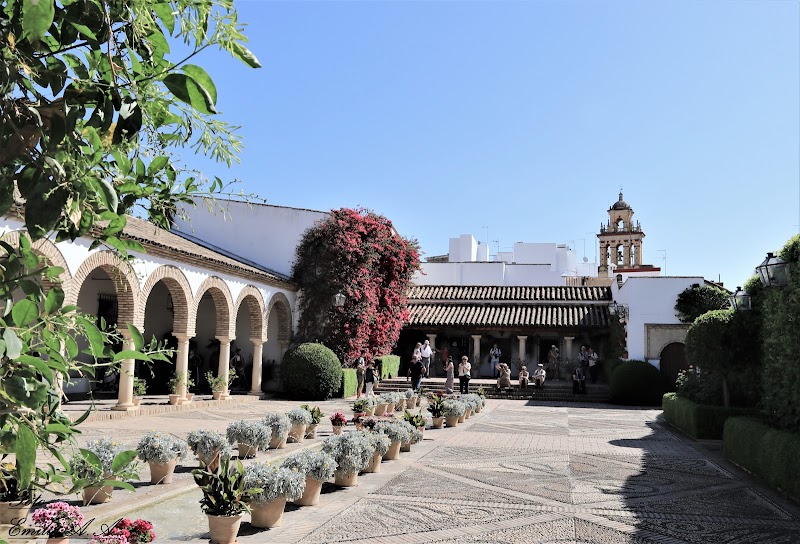 Centro de día para mayores Ciudad Jardín — foto 5