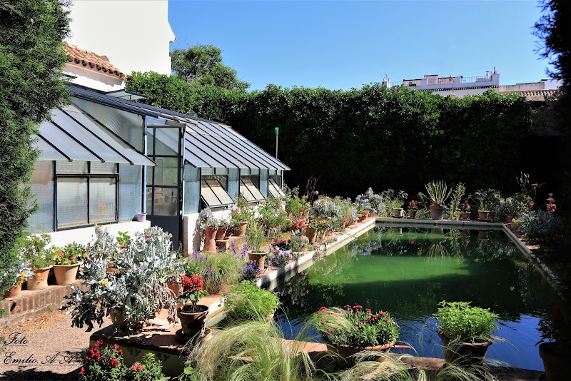 Centro de día para mayores Ciudad Jardín — foto 8