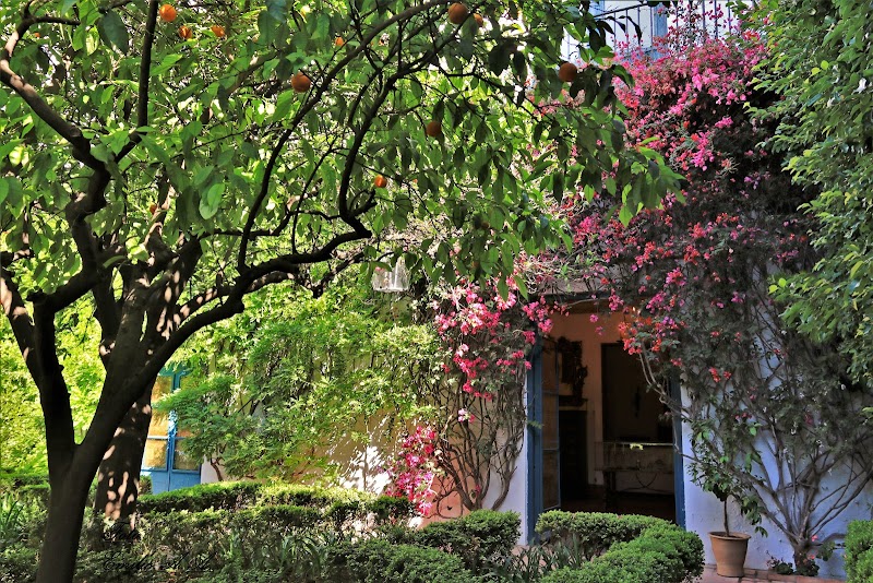 Centro de día para mayores Ciudad Jardín — foto 10