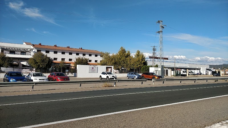 Centro de día para mayores Vitalia Alcolea — foto 10