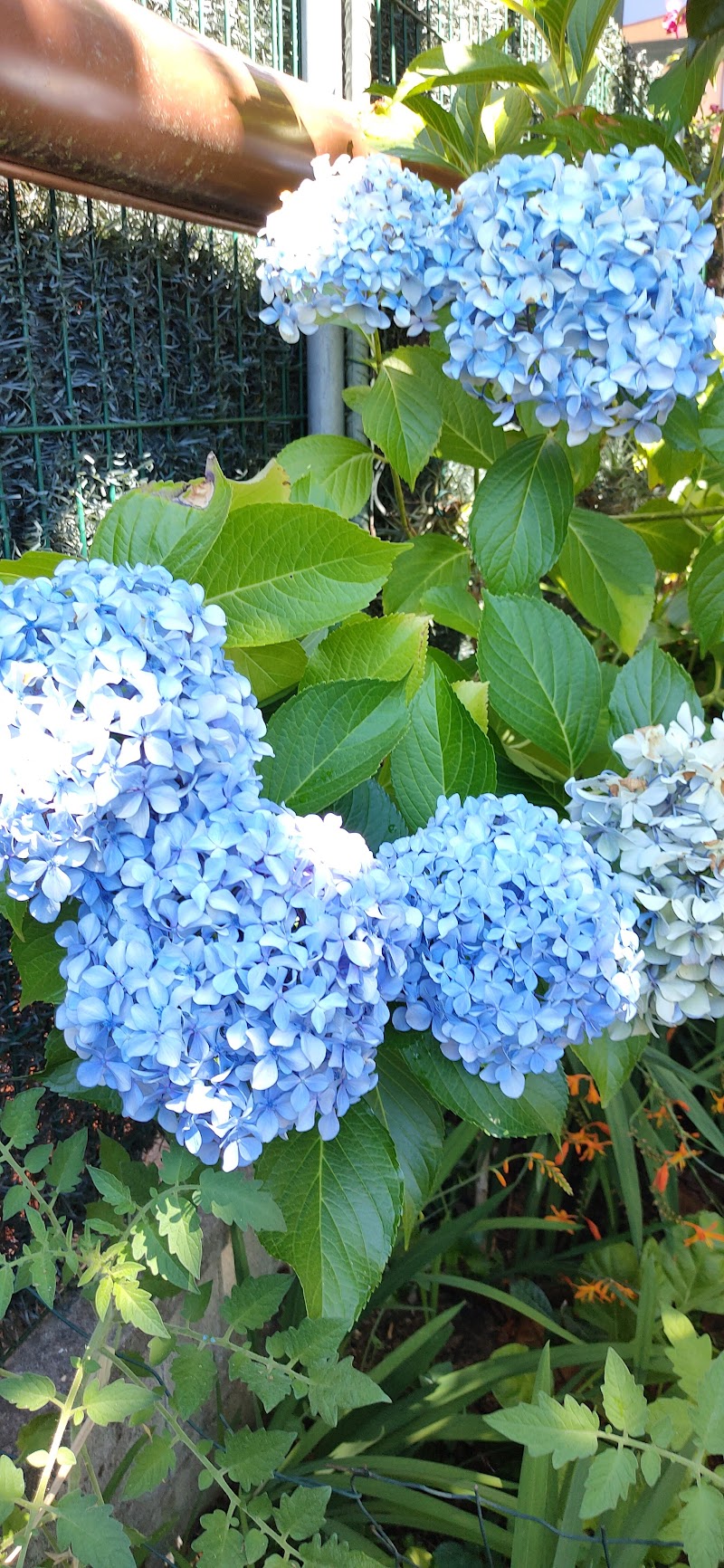 Centro de día Residencial Porto Avieira — foto 2
