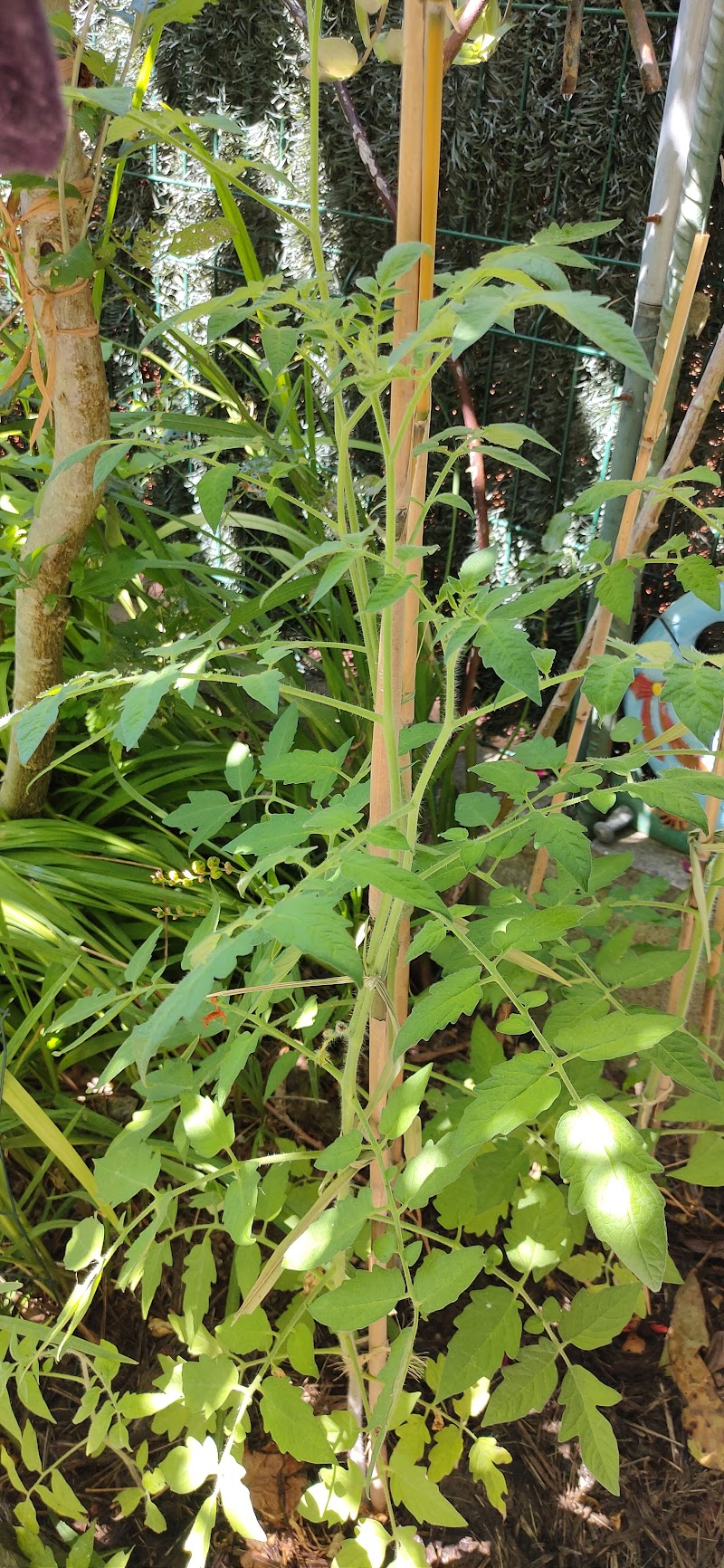 Centro de día Residencial Porto Avieira — foto 3