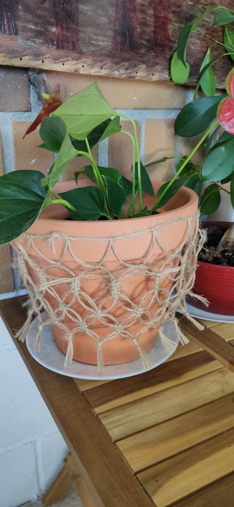 Centro de día Residencial Porto Avieira — foto 4