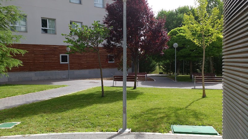 Servicio de estancia diurna de la Residencia AMAVIR El Pinar — foto 9