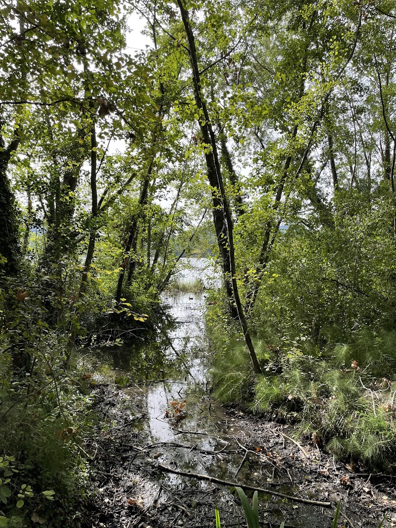Centre de dia de la Residència El Mirador de l'Estany — foto 4