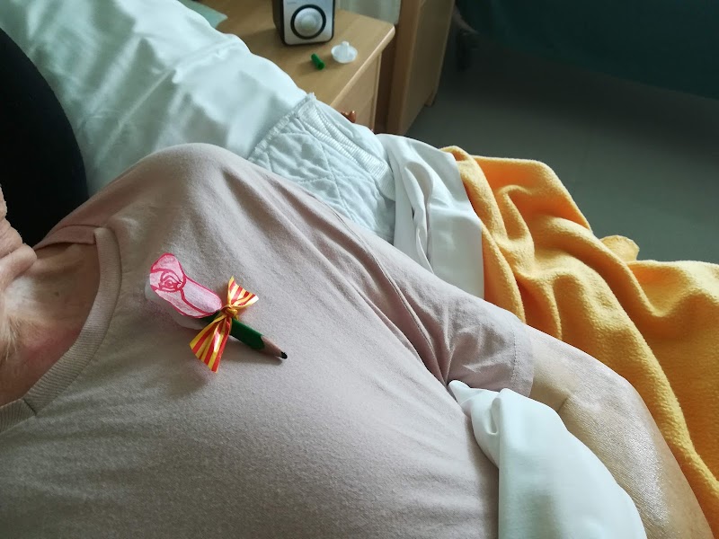 Centre de dia La Solana de Banyoles — foto 9