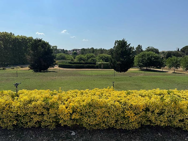 Servei de centre de dia de la Residència Sils — foto 6