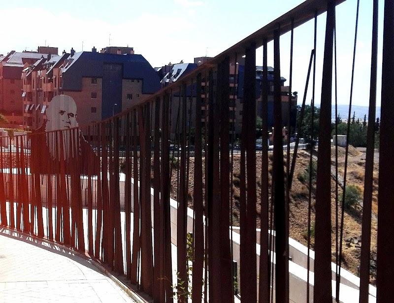 Centro de día de la Residencia Beato Fray Leopoldo — foto 9