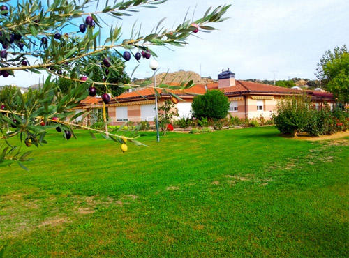 Servicio de estancia diurna de la Residencia de 3ª edad La Sabina