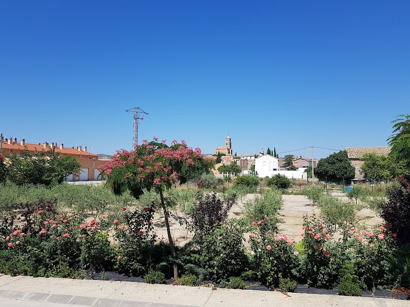 Servicio de estancia diurna de la Residencia Sierra de Alcubierre