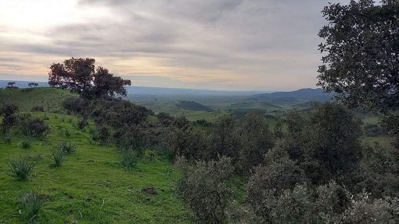 Centro de día para mayores Orpea Andújar — foto 5