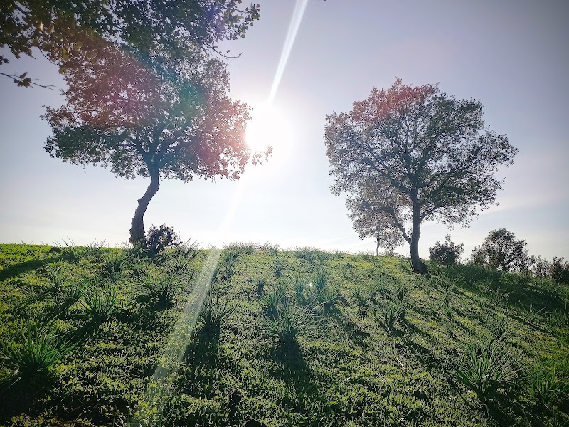 Centro de día para mayores Orpea Andújar — foto 7