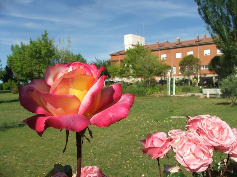 U. de estancias diurnas La Aldea del Puente — foto 7
