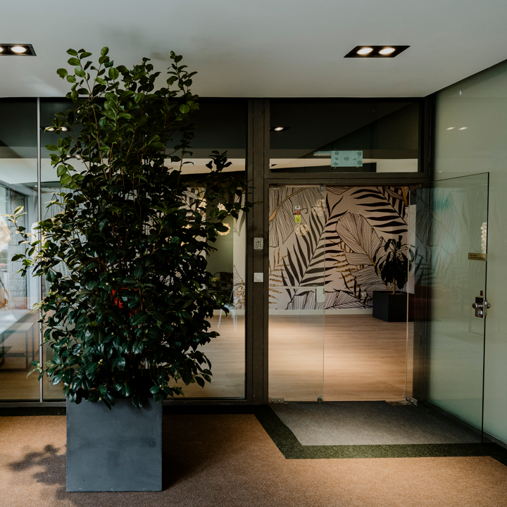 Mit Centro de día — foto 5