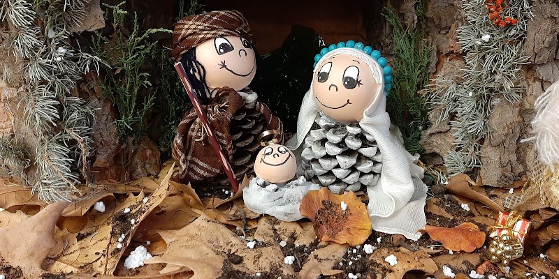 Centro de día AMAVIR Pozuelo — foto 7