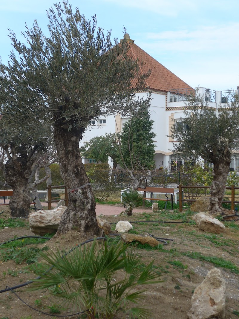 Centro de día para mayores El Buen Samaritano — foto 5