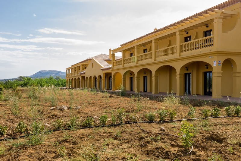 Centro de día Seniors Ronda — foto 9