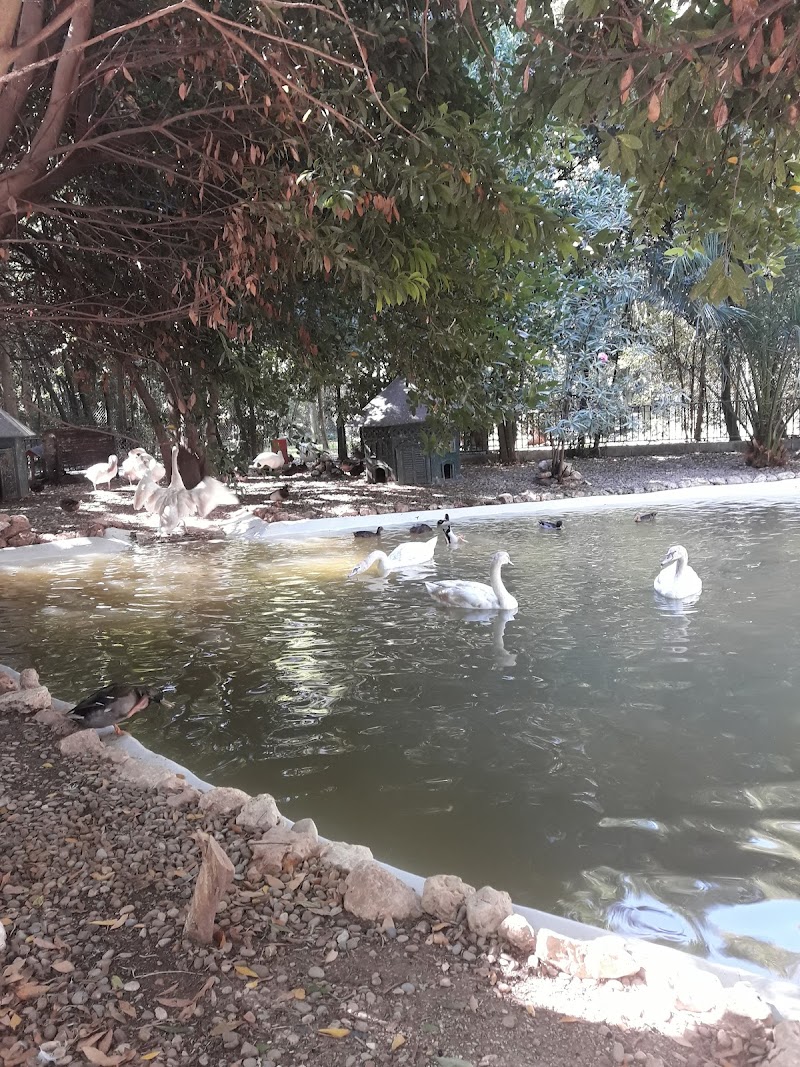 Estancias diurnas de la Residencia Carmen Bellido — foto 3