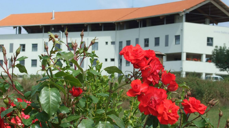 Centro de día AMAVIR Ibañeta — foto 5