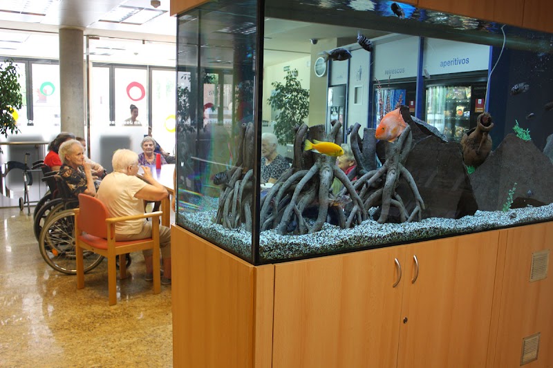 Servicio de estancia diurna de la Residencia de ancianos San José — foto 9