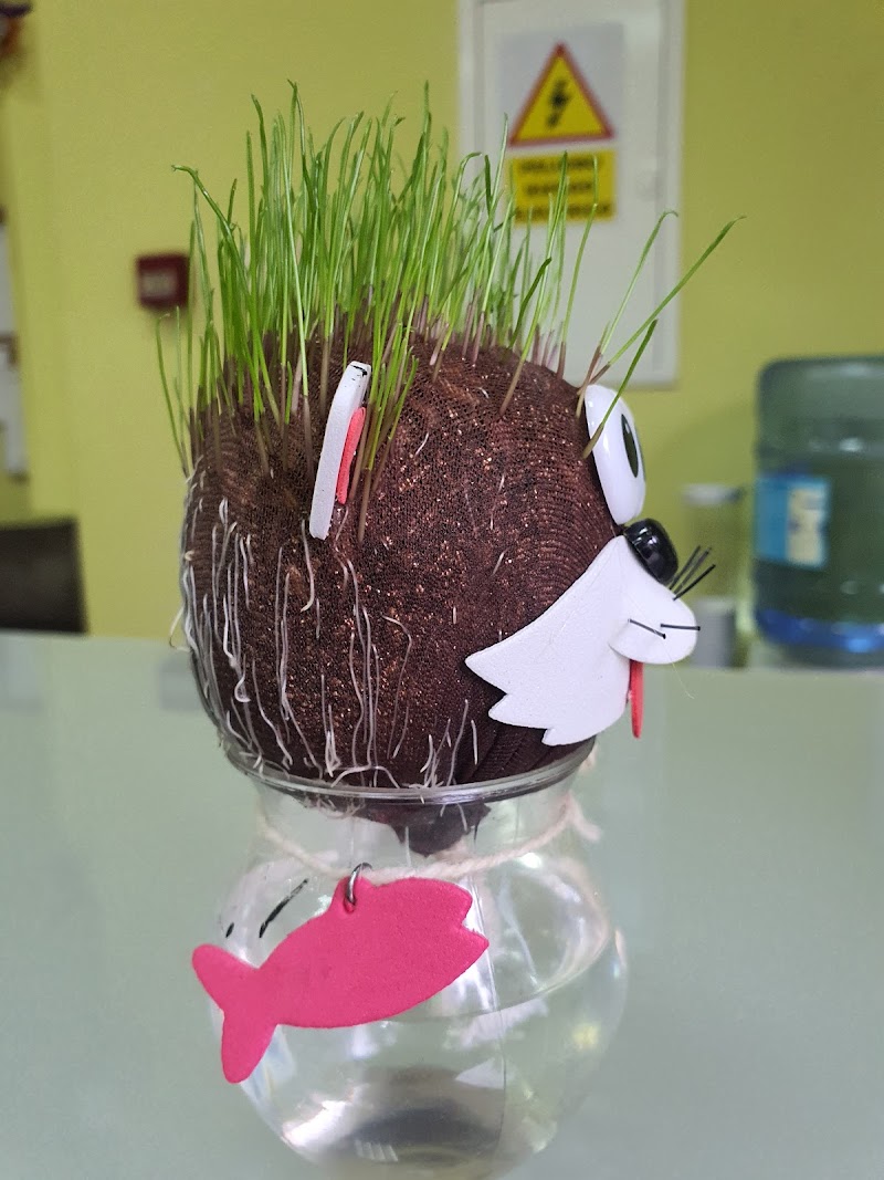 Centro de día Coidamos de ti — foto 7