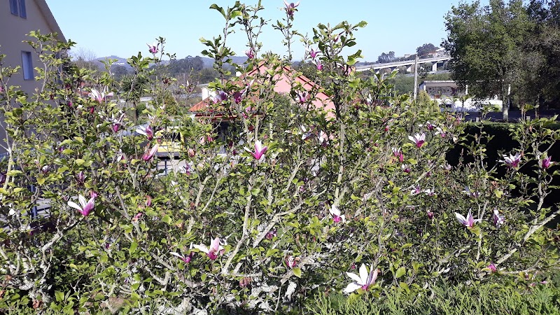Centro de día Abrente Vilagarcía — foto 7
