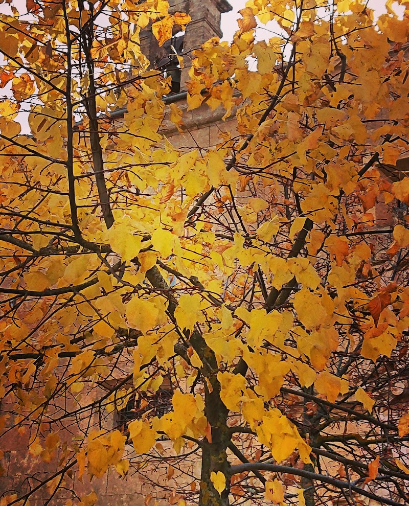 Unidad de estancias diurnas Obispo Téllez — foto 4