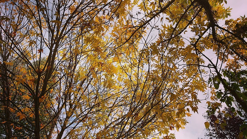 Unidad de estancias diurnas Obispo Téllez — foto 6