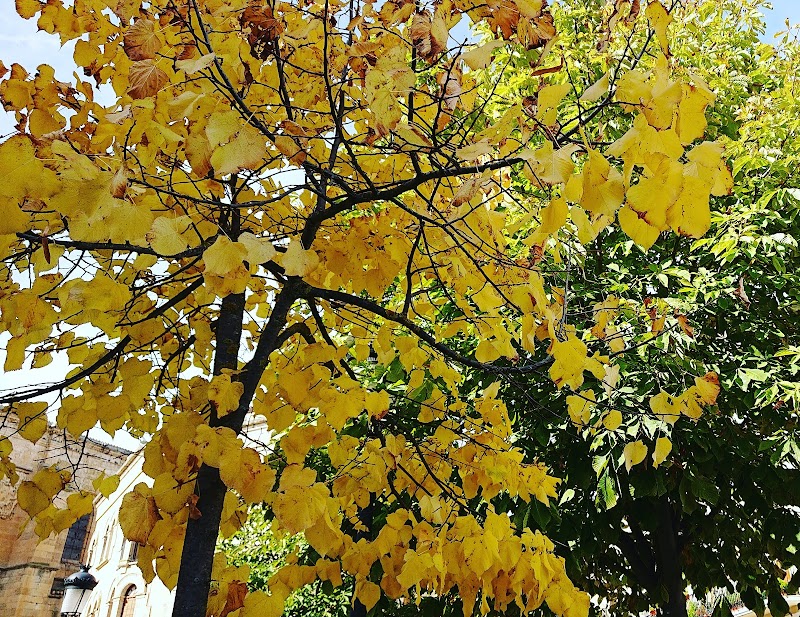 Unidad de estancias diurnas Obispo Téllez — foto 7