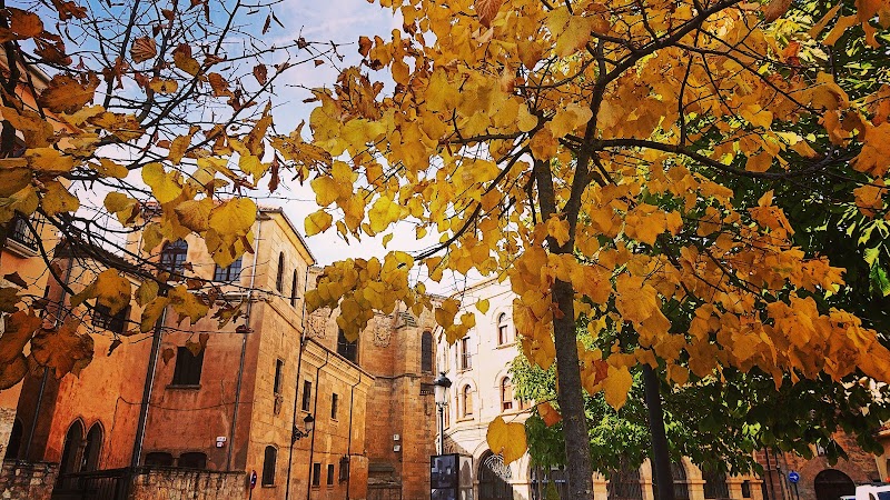 Unidad de estancias diurnas Obispo Téllez — foto 9